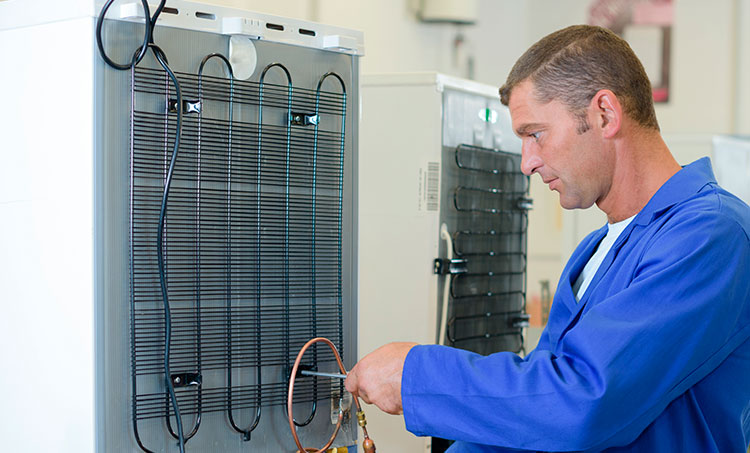 Ремонт морозильников Аег на дому в Москве