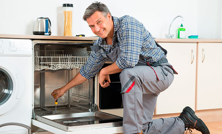 Ремонт посудомоечных машин Аег на дому в Москве